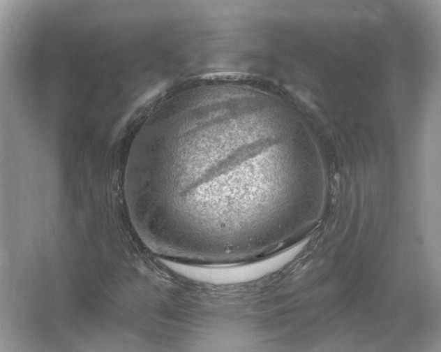 X0000067531351200604150215