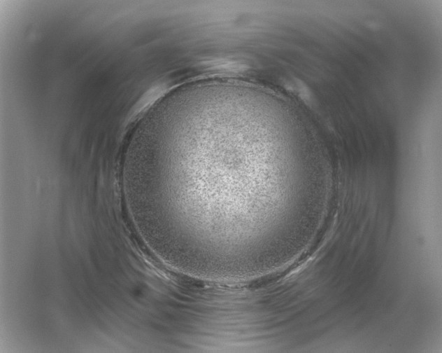 X0000067531354200604150215