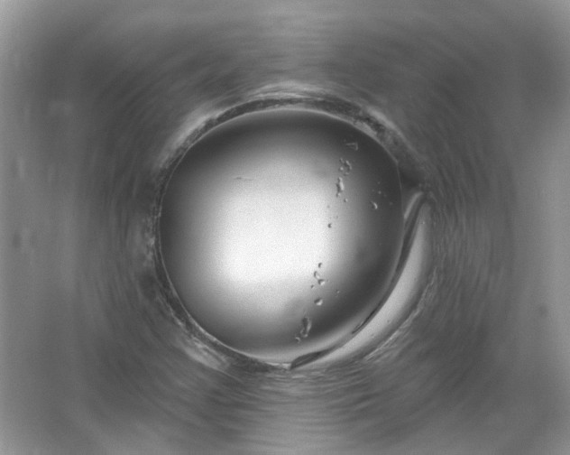 X0000067531355200604150215