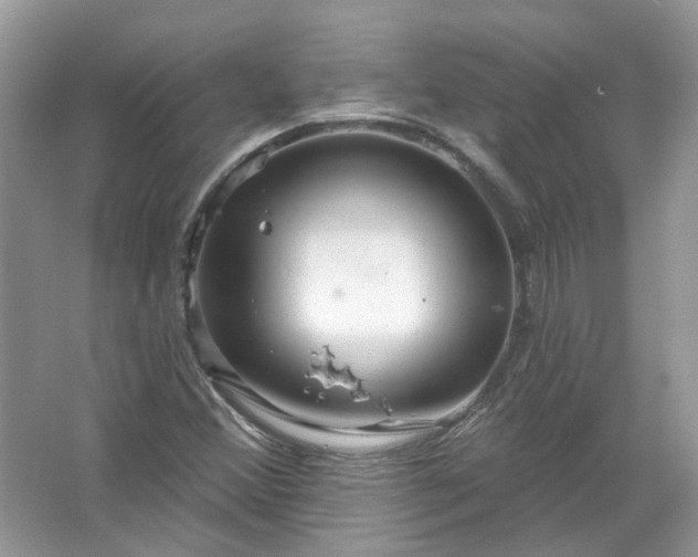 X0000067531356200604150215