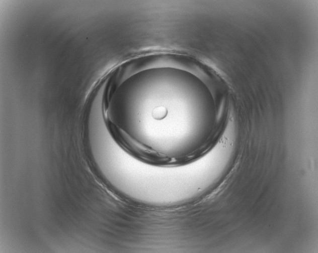 X0000067531357200604150215