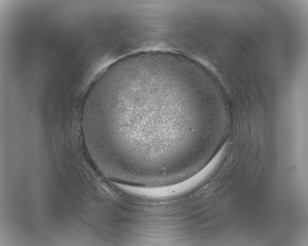 X0000067531359200604150215