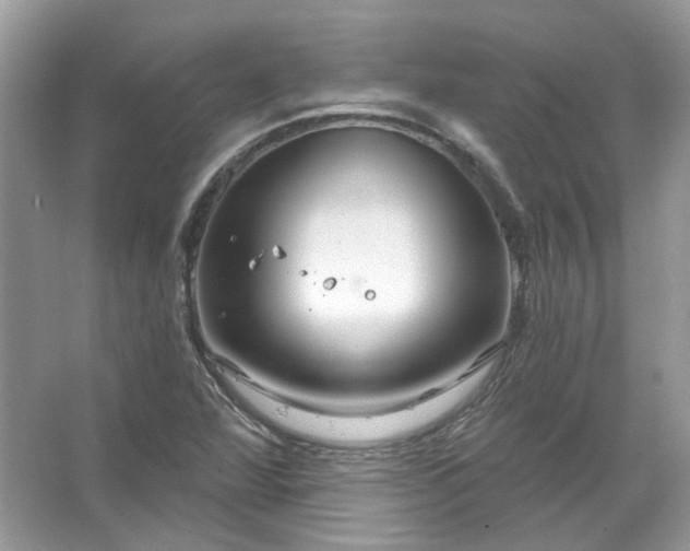 X0000067531360200604150215