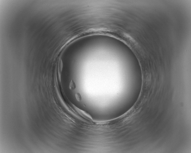 X0000067531361200604150215