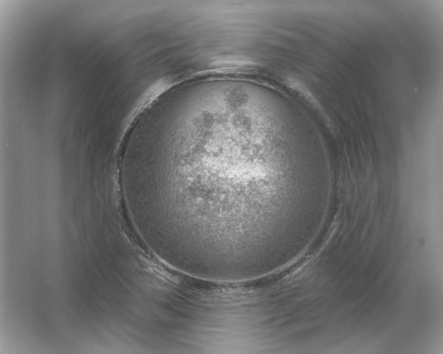 X0000067531362200604150215