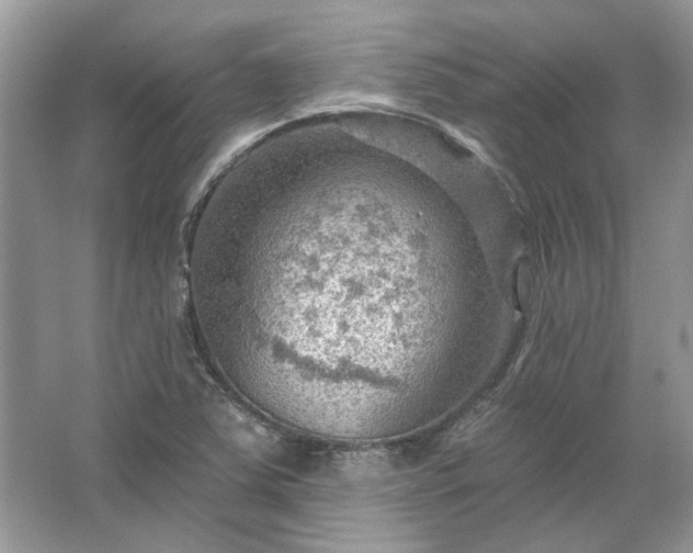 X0000067531363200604150215