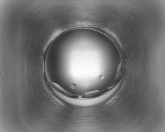 X0000067531365200604150215