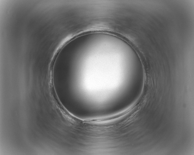 X0000067531366200604150215