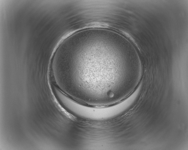 X0000067531379200604150214