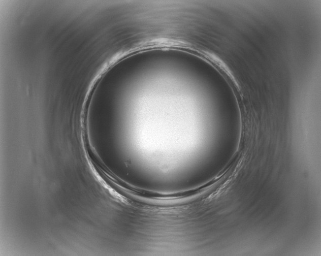 X0000067531381200604150214