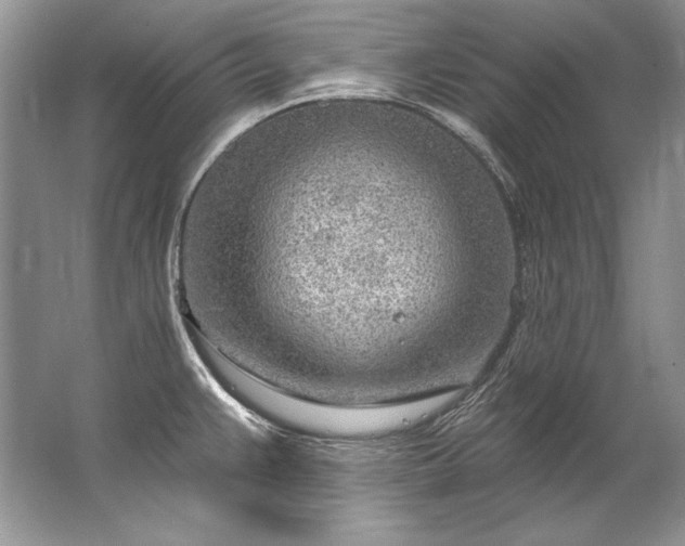 X0000067531383200604150214