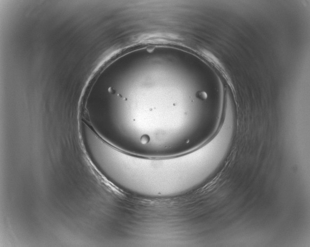 X0000067531384200604150214