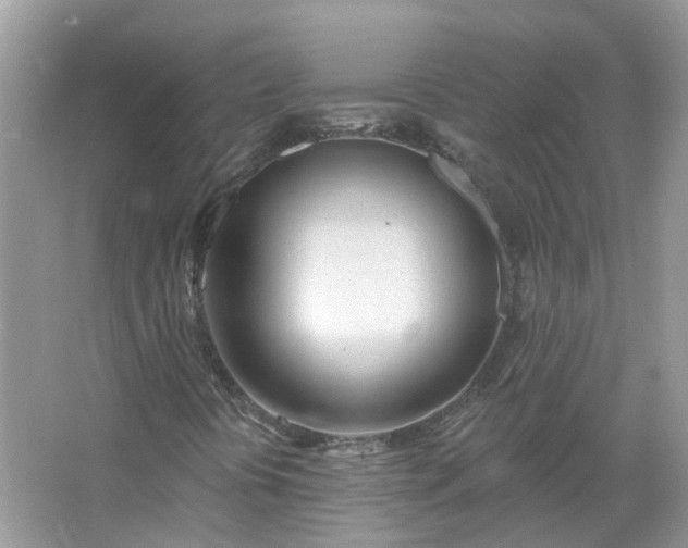 X0000067531394200604150213