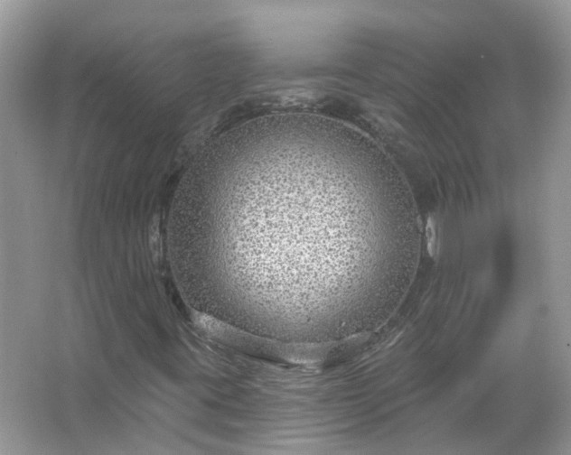 X0000067531395200604150213
