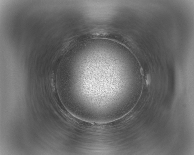 X0000067531396200604150213