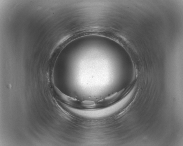 X0000067531402200604150213