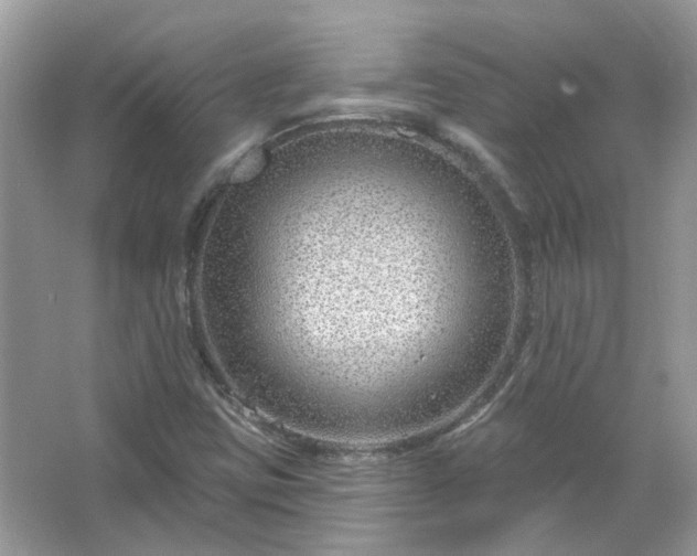 X0000067531403200604150213