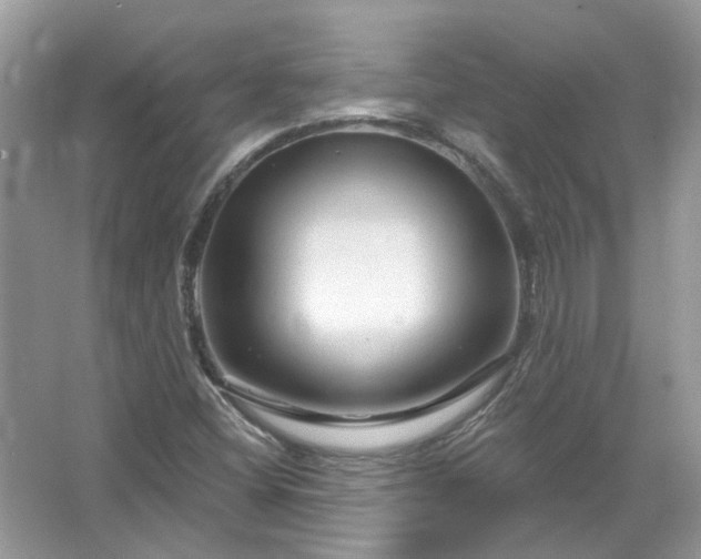 X0000067531404200604150213