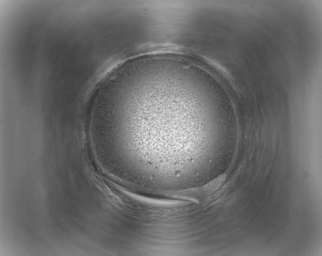 X0000067531407200604150214