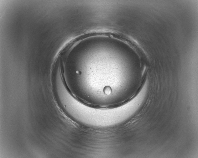 X0000067531408200604150214