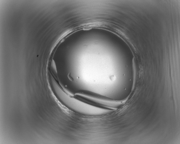 X0000067531426200604150214