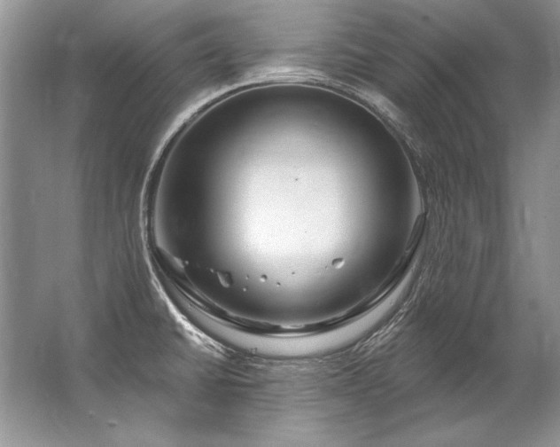 X0000067531430200604150214