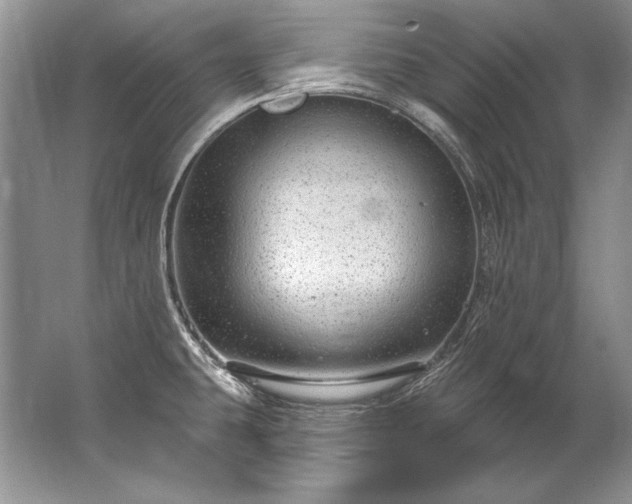 X0000067531431200604150214