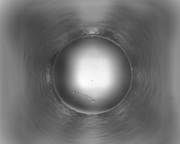 X0000067531442200604150213