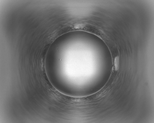 X0000067531443200604150213