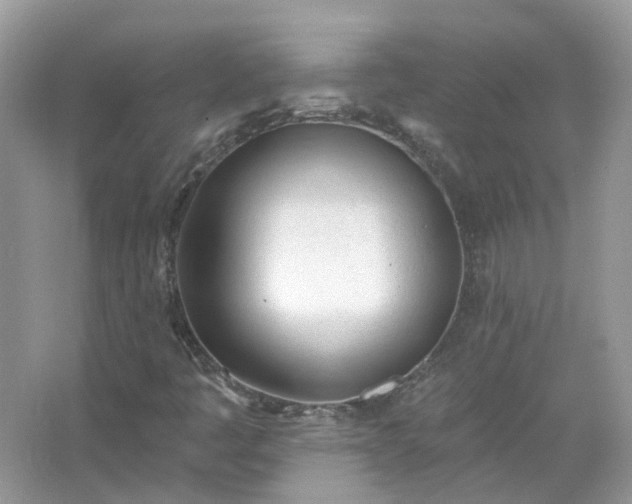 X0000067531445200604150213