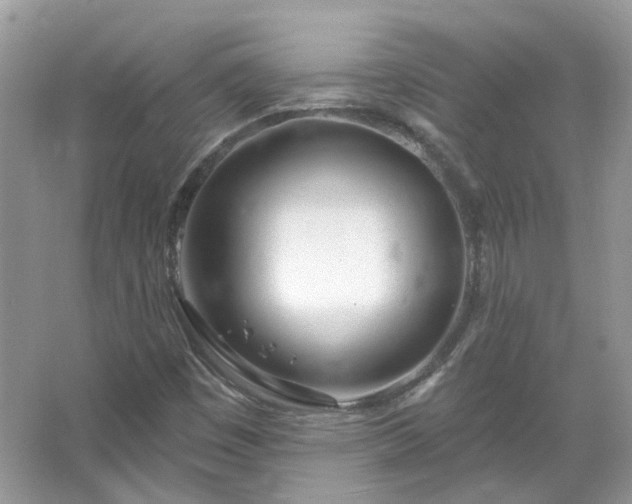 X0000067531449200604150213
