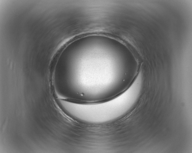 X0000067531452200604150213