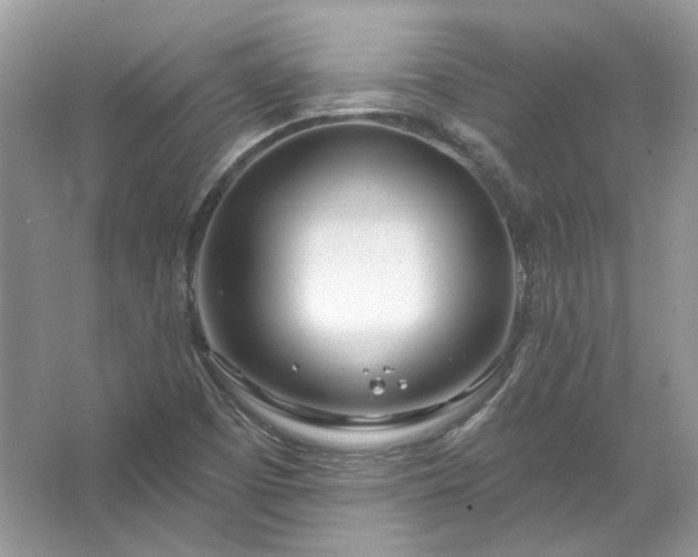 X0000067531457200604150213