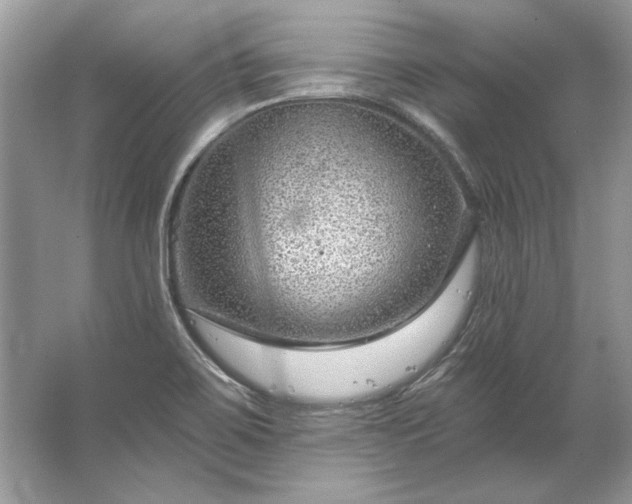 X0000067531467200604150213