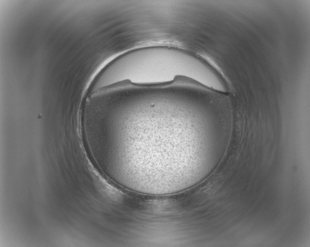 X0000067531468200604150213