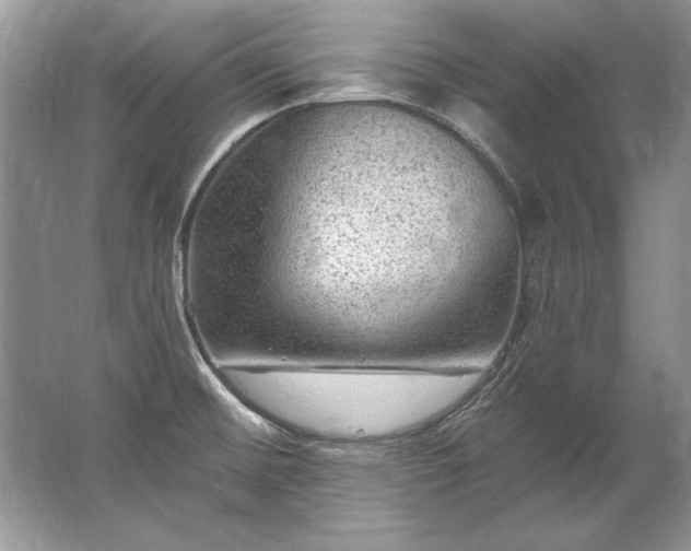 X0000067531476200604150213