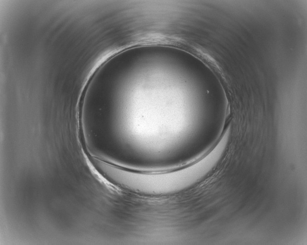 X0000067531479200604150213
