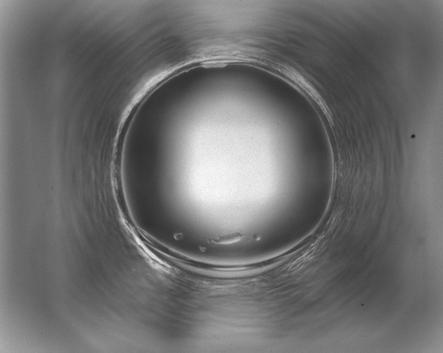X0000067531485200604150213