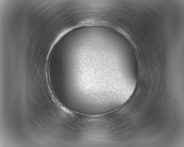 X0000067531486200604150213