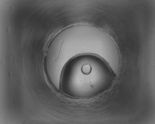 X0000067530001200604211856