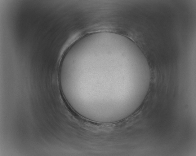 X0000067530004200604211855