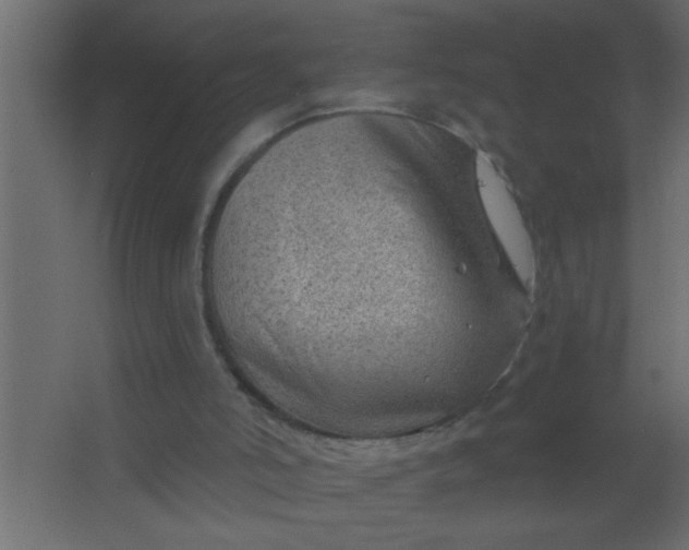 X0000067530006200604211855
