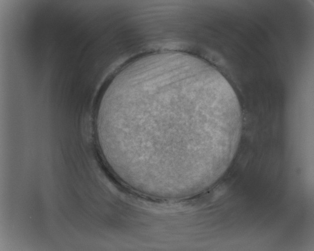 X0000067530012200604211855