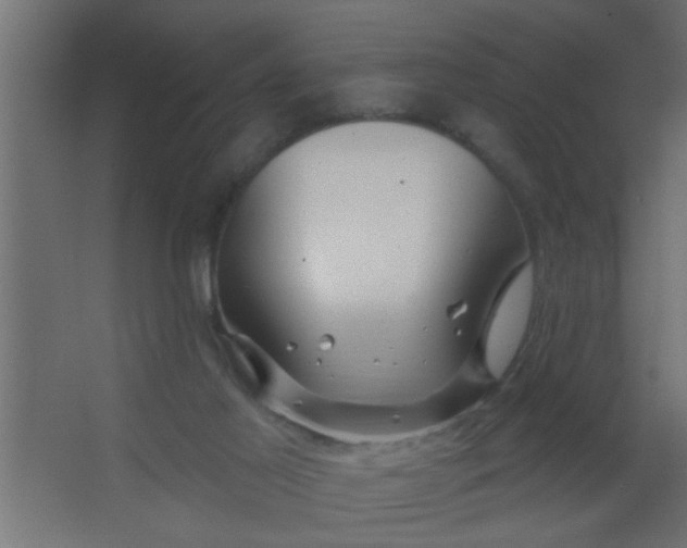 X0000067530021200604211855