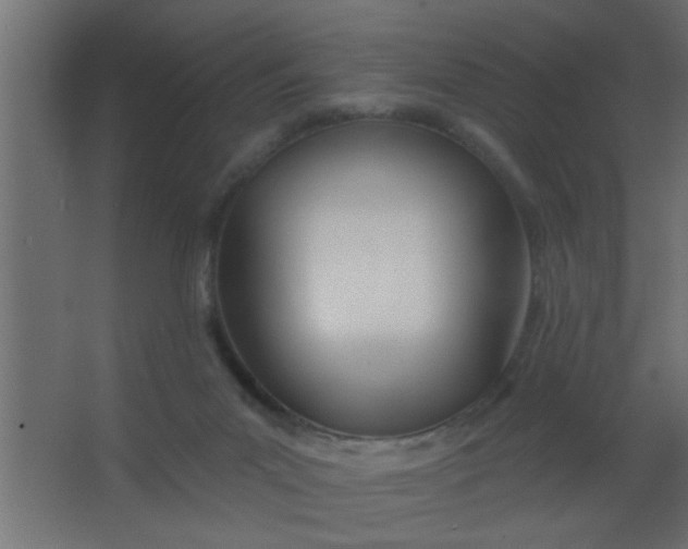 X0000067530023200604211855