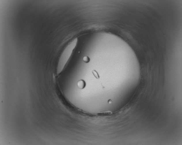 X0000067530024200604211855