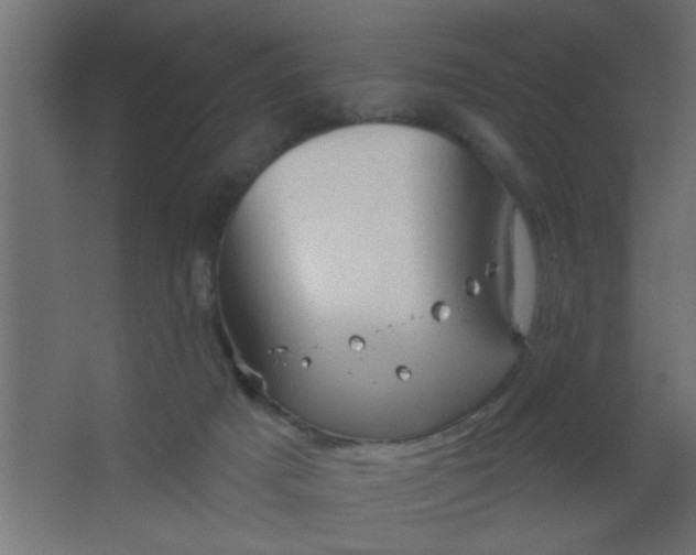 X0000067530025200604211855