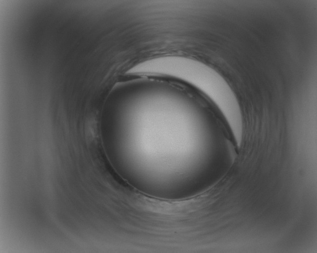 X0000067530035200604211855