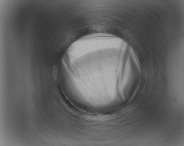 X0000067530036200604211855