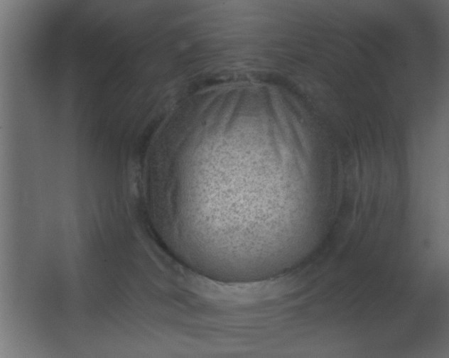 X0000067530038200604211855
